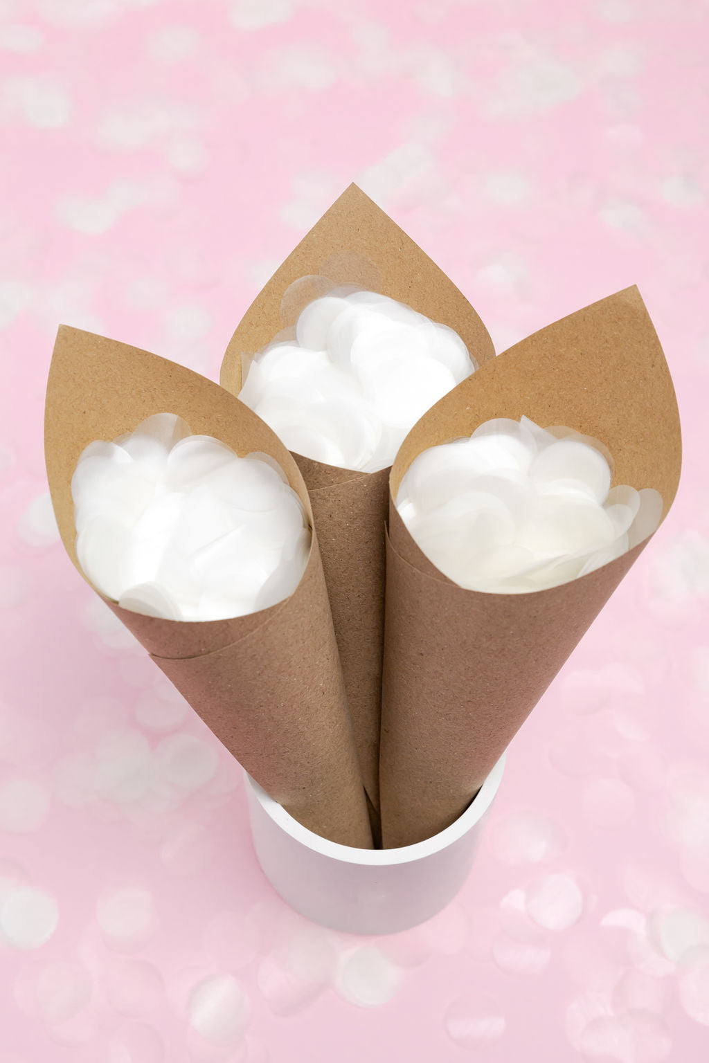 Biodegradable Confetti Tray & Cones - Kraft