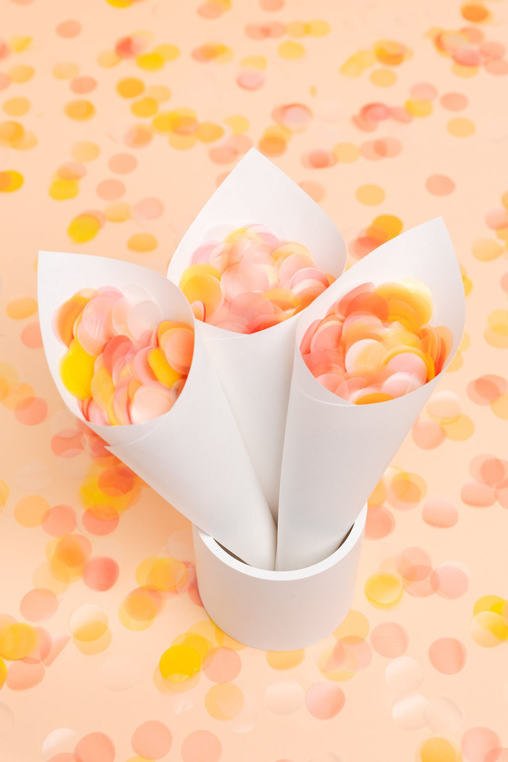 Biodegradable Confetti Tray & Cones - White